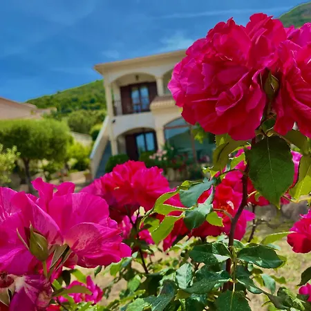 U Filipaghju Guest house *