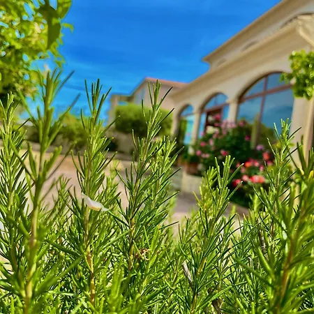 بيت ضيافة U Filipaghju 4*