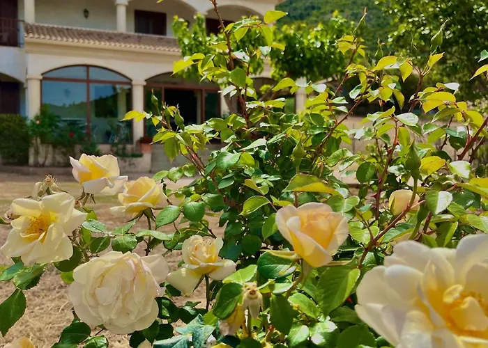 U Filipaghju 4* Galeria