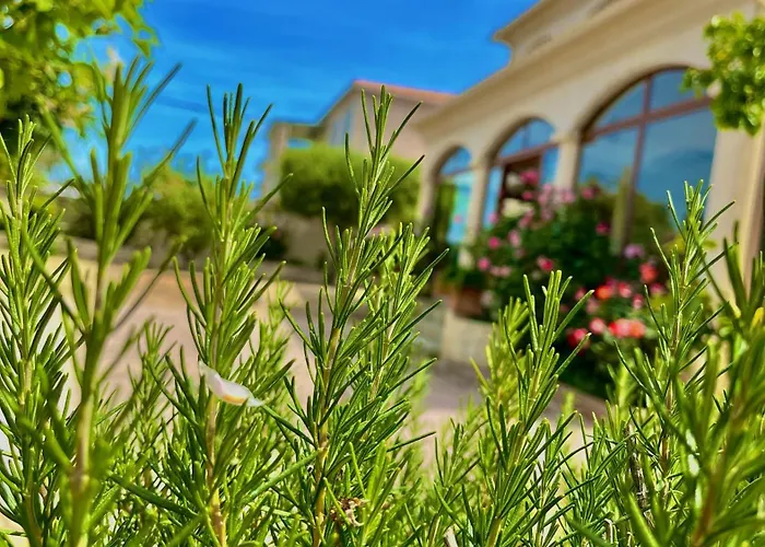 Gæstehus U Filipaghju 4*